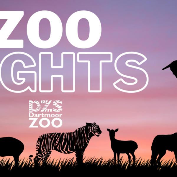 Dartmoor Zoo Tickets, Bundles Buy Online